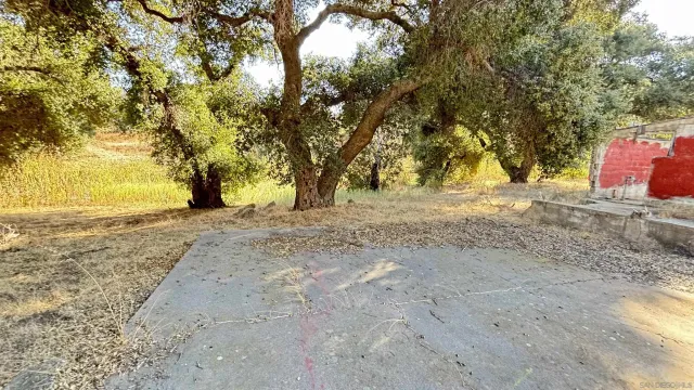 a view of dirt yard with a large tree
