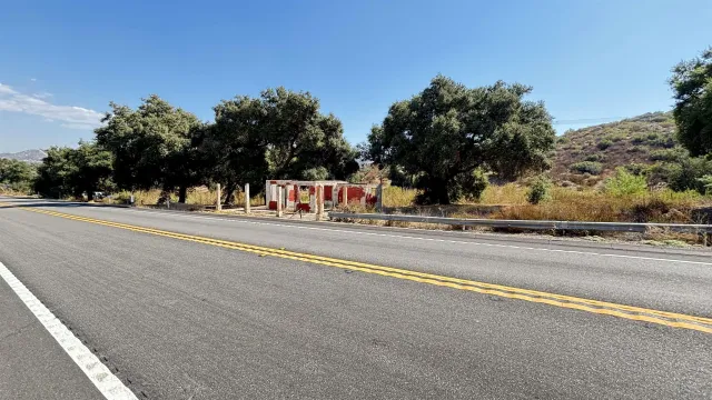 a view of a fountain with a large trees