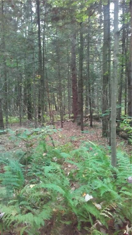 0 Flagg Road New Sharon, ME 04955 - Photo 11 of 12 Photo
