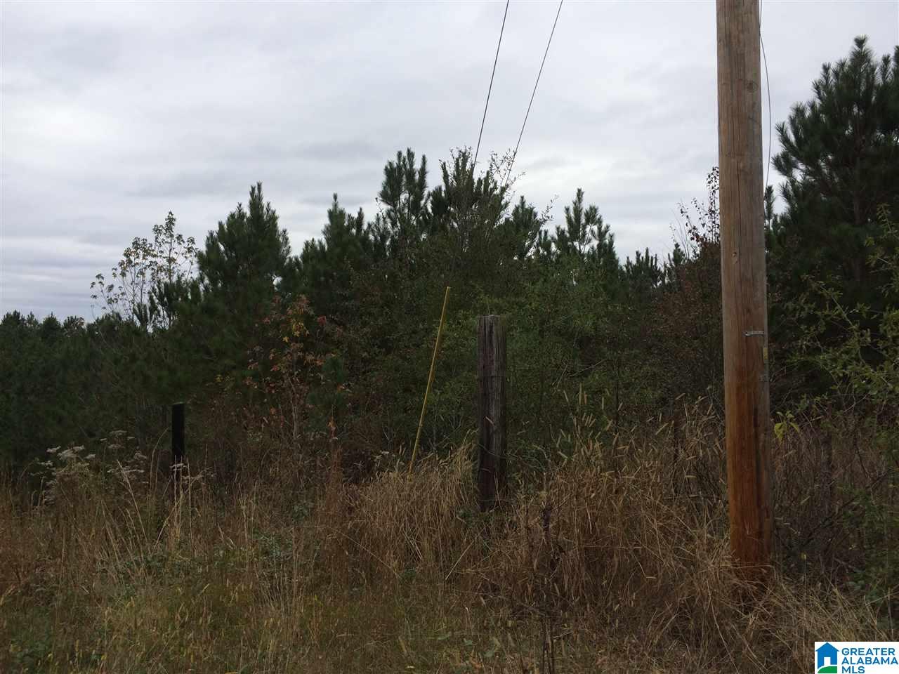 Page Spring Road, Unit 4 Arab, AL 35016 - Photo 7 of 29