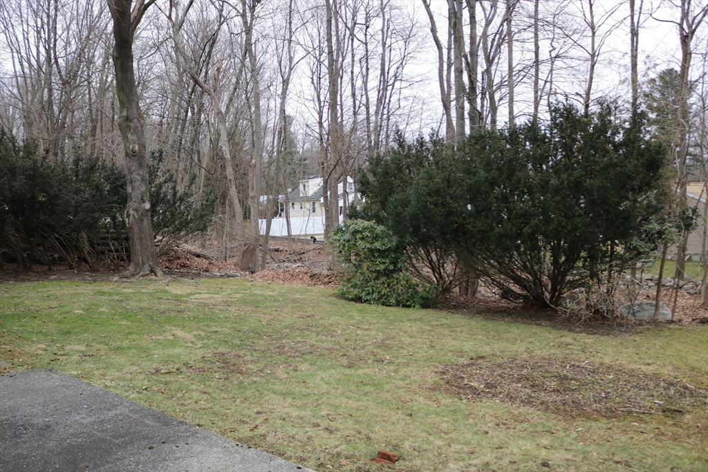 28 Chevy Chase Road Worcester, MA 01606 - Photo 14 of 17 a view of backyard with green space
