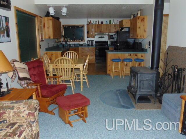 15195 County Road 505 Road Newberry, MI 49868 - Photo 6 of 13