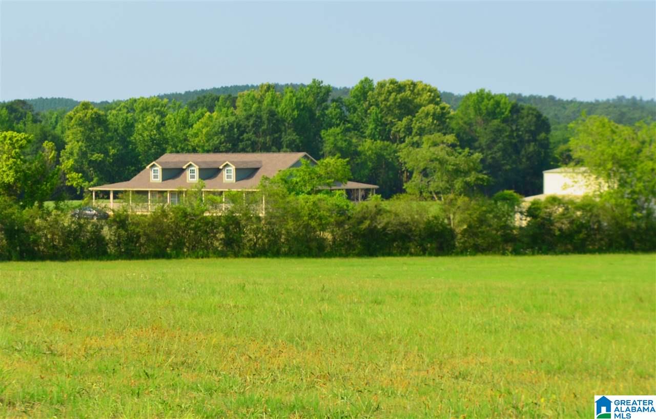 4683 Mcgowans Ferry Road Childersburg, AL 35044 - Photo 10 of 46