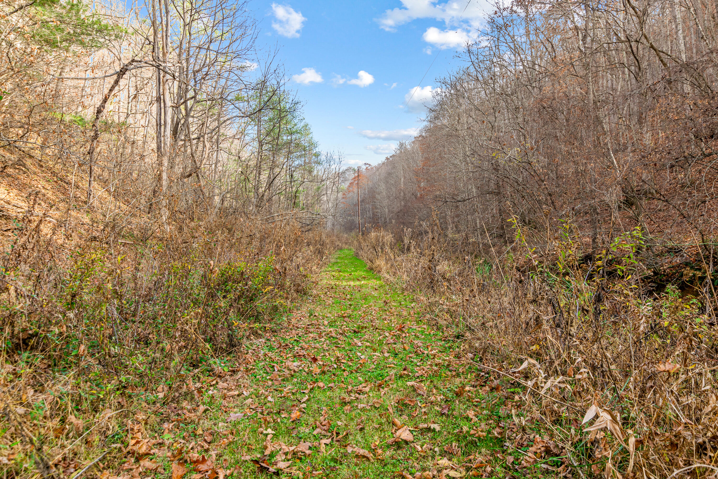 3210 Nolley Road Riner, VA 24149 - Photo 66 of 73 3210-Nolley-Rd-Riner-103