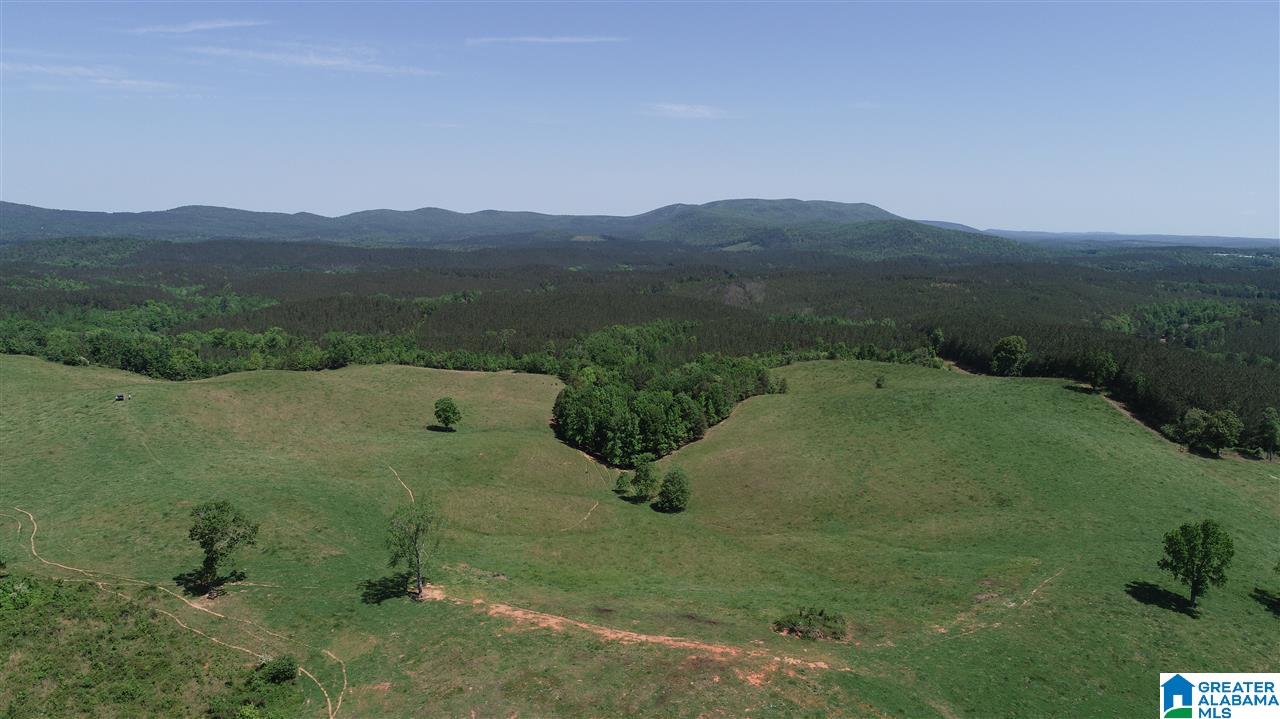 31 County Road Ashland, AL 36251 - Photo 38 of 38
