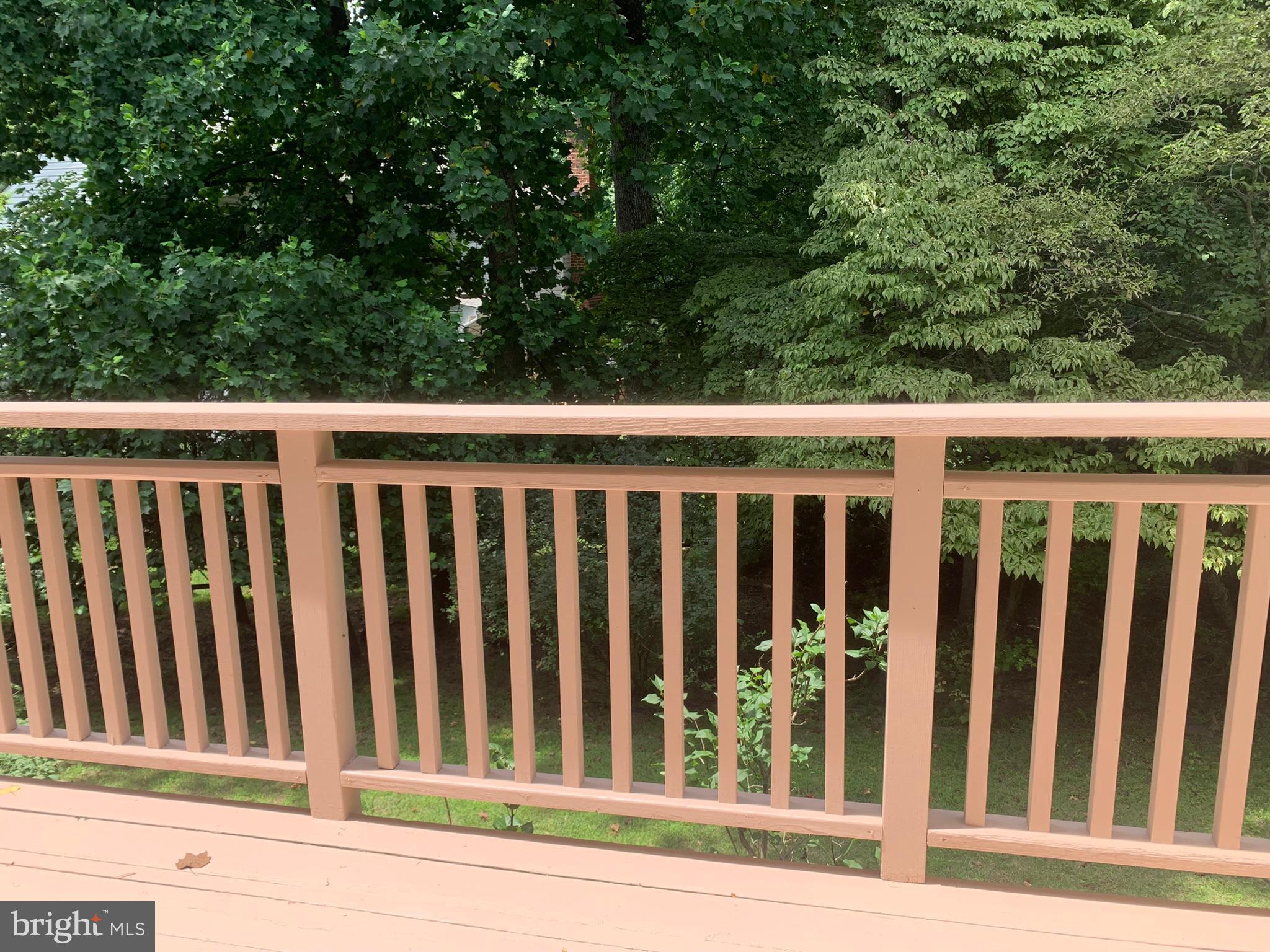 13114 Riviera Terrace Silver Spring, MD 20904 - Photo 22 of 78 Gallery Image 22