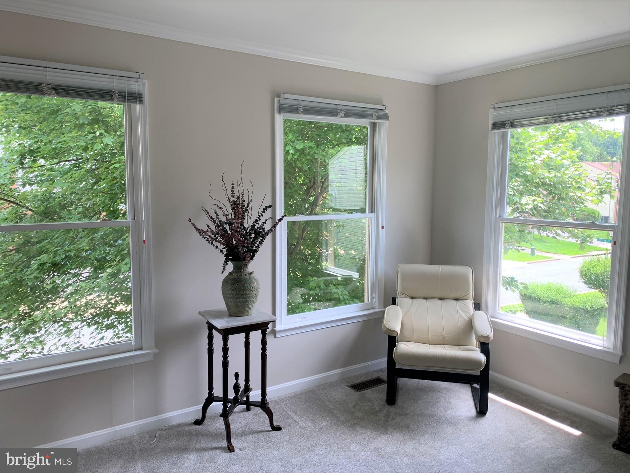 13114 Riviera Terrace Silver Spring, MD 20904 - Photo 40 of 78 Gallery Image 40