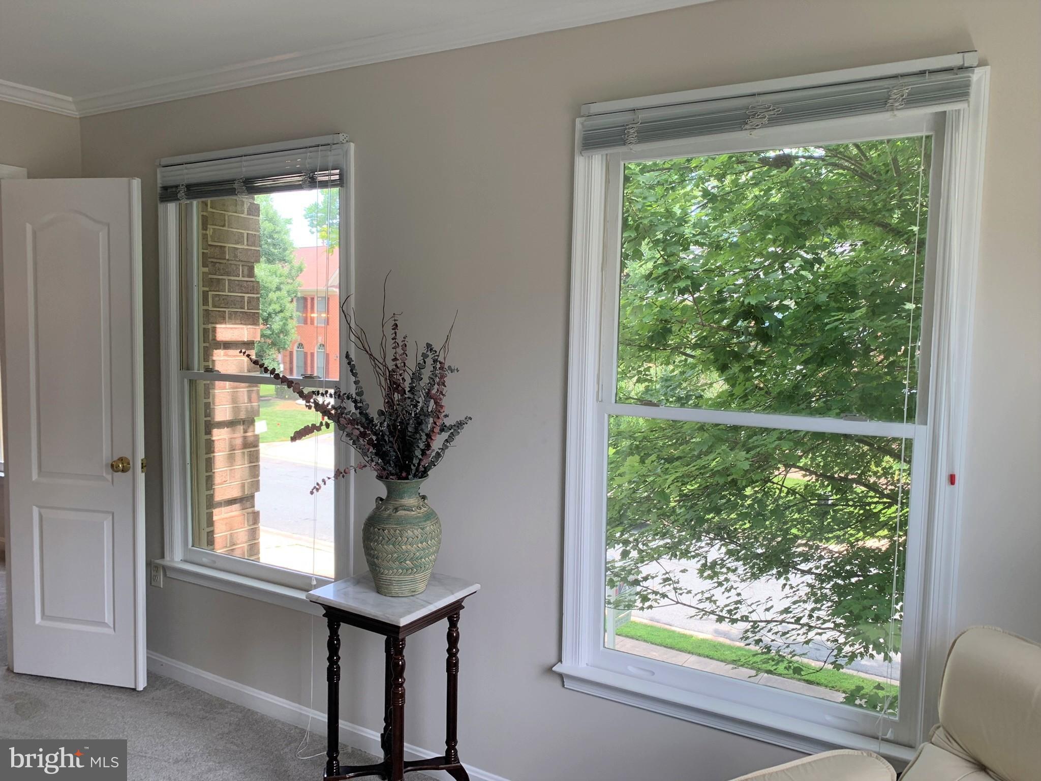 13114 Riviera Terrace Silver Spring, MD 20904 - Photo 41 of 78 Gallery Image 41