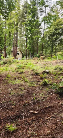 a view of a house with a tree in the background