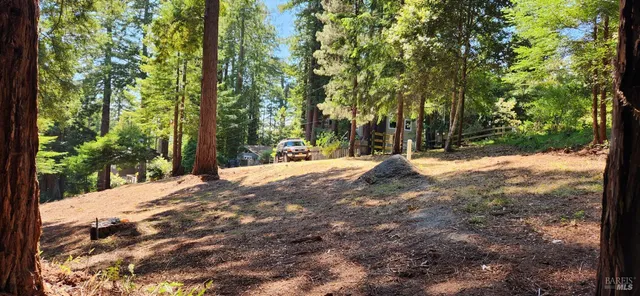 a view of outdoor space with trees