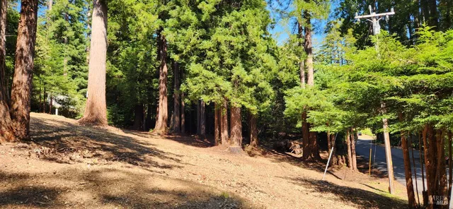 a view of a backyard of the house