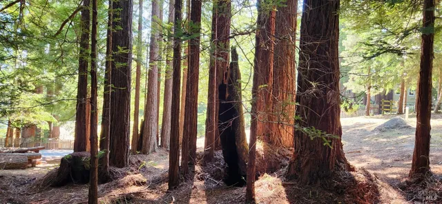 a backyard of a house