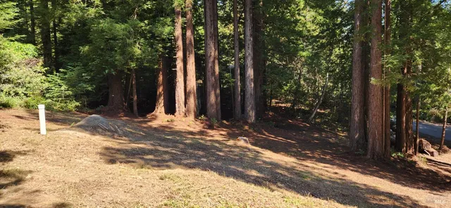 a view of a backyard of the house