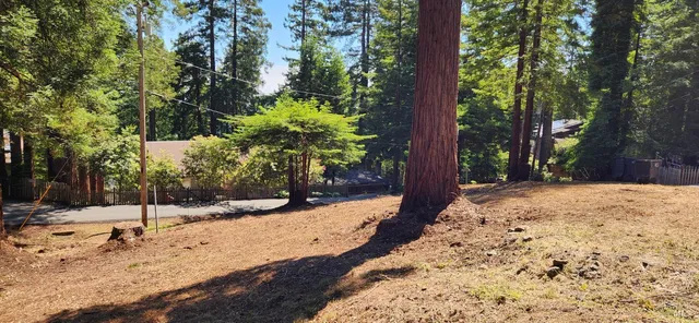 a view of a yard covered in snow