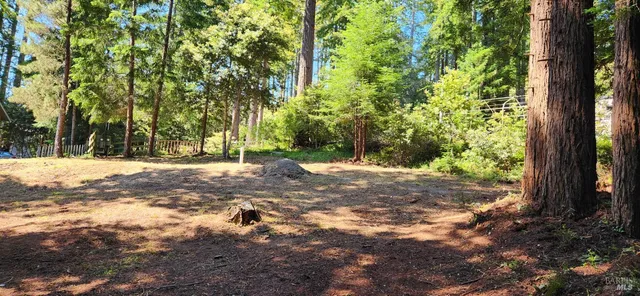 a view of outdoor space with trees