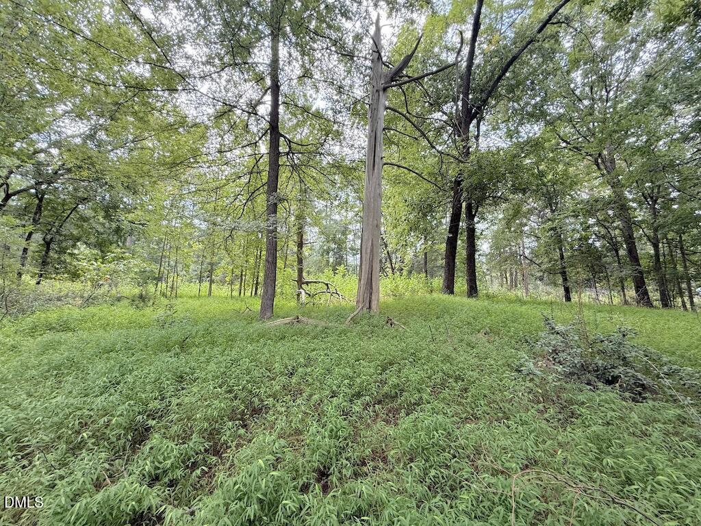 0 Laurel Rdg Road Durham, NC 27705 - Photo 21 of 41 21