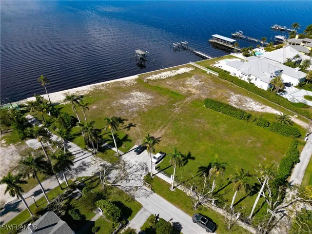 a view of a palm tree with garden