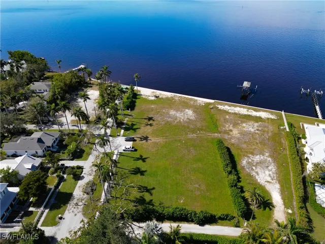 view of a bunch of flowers