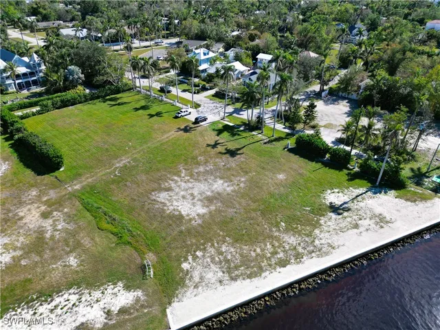 a view of a trees with a yard