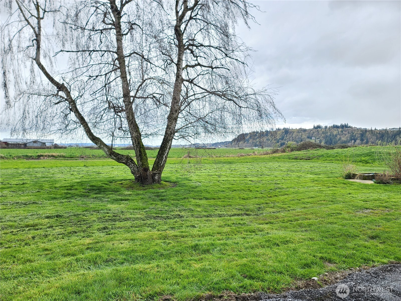 1615 Norman Road Stanwood, WA 98292 - Photo 7 of 28