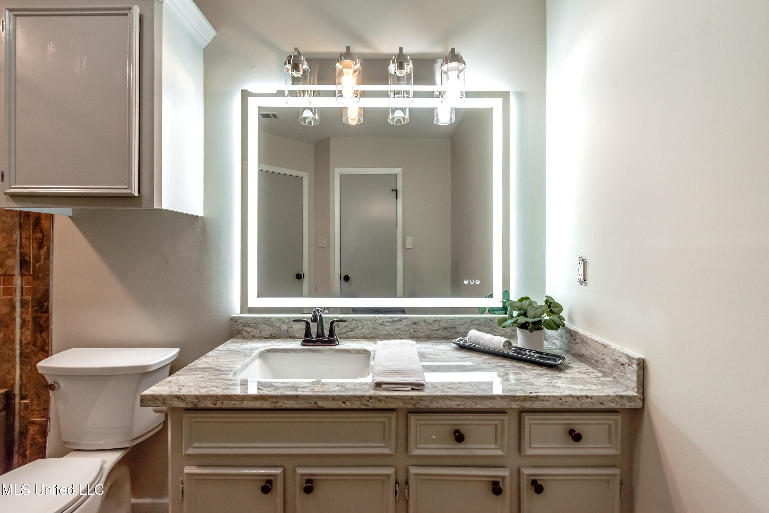 411 Highway 468 Brandon, MS 39042 - Photo 23 of 55 411 Hy 468 Reshoot--19