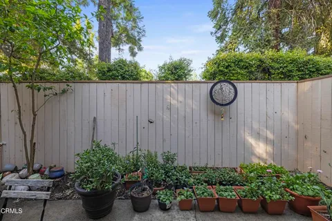 a backyard with potted plants and a potted plant