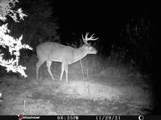 10.357-ac Cooper Road West Union, OH 45693 - Photo 15 of 20