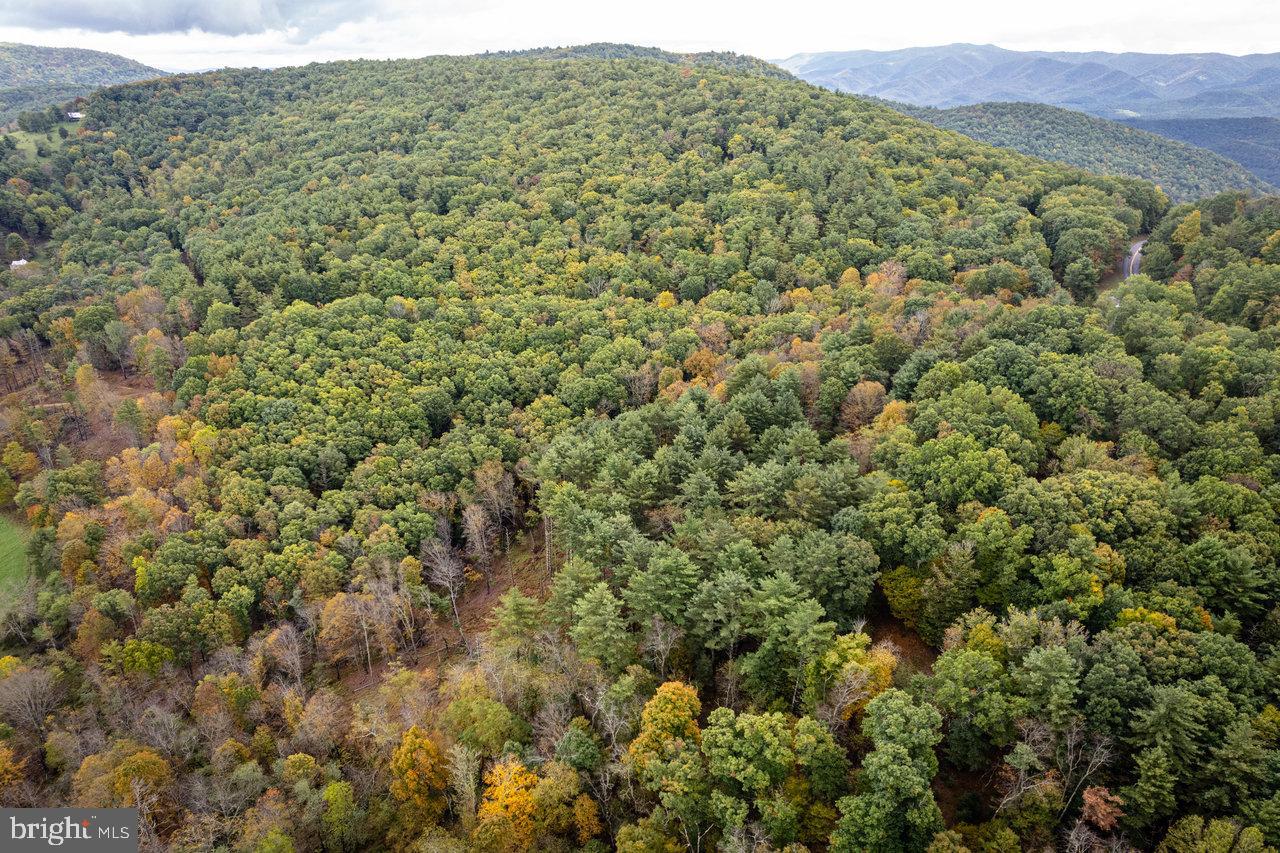 0 Dry Run Road Brandywine, WV 26802 - Photo 12 of 33