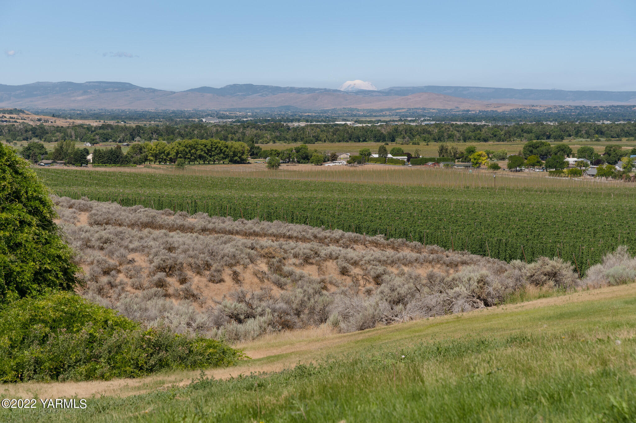 3870 Aaron Road Moxee, WA 98936 - Photo 27 of 33 a view of a field with a big yard