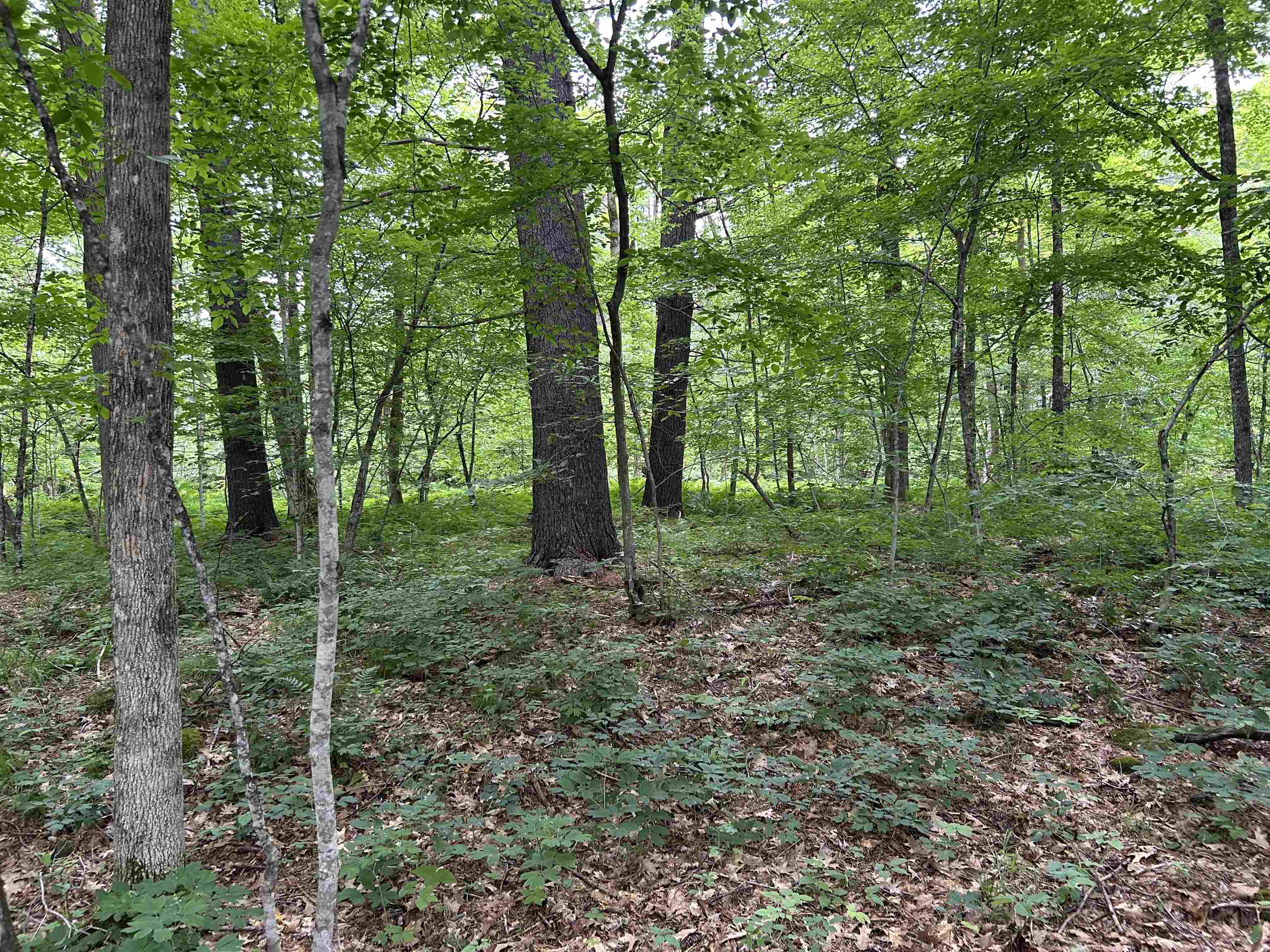 4 Cutler Road Plainfield, NH 03781 - Photo 27 of 28