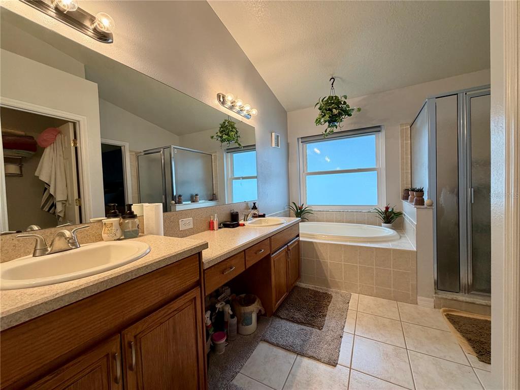 4303 Orange Ridge Court Valrico, FL 33596 - Photo 31 of 40 a bathroom with a granite countertop sink and a bathtub