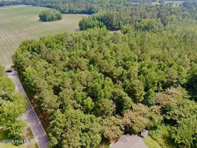 0 Lesane Road Tar Heel, NC 28392 - Photo 2 of 3