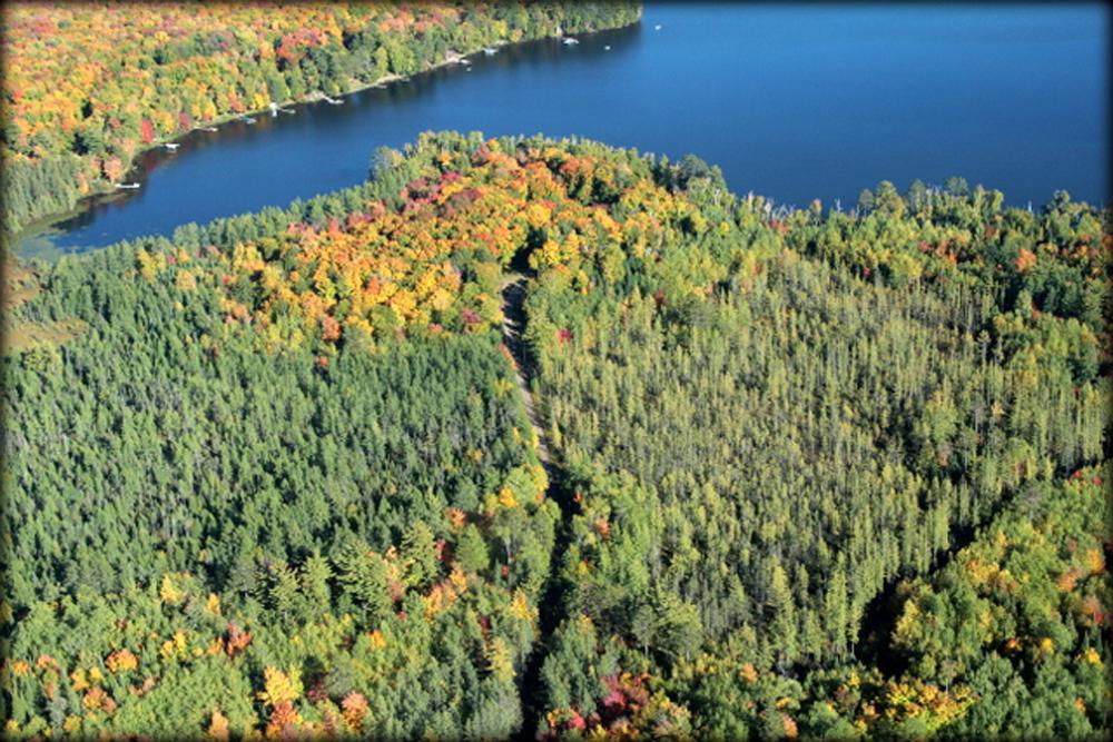 1864 Flowage Road Park Falls, WI 54552 - Photo 60 of 67 Gallery Image 60