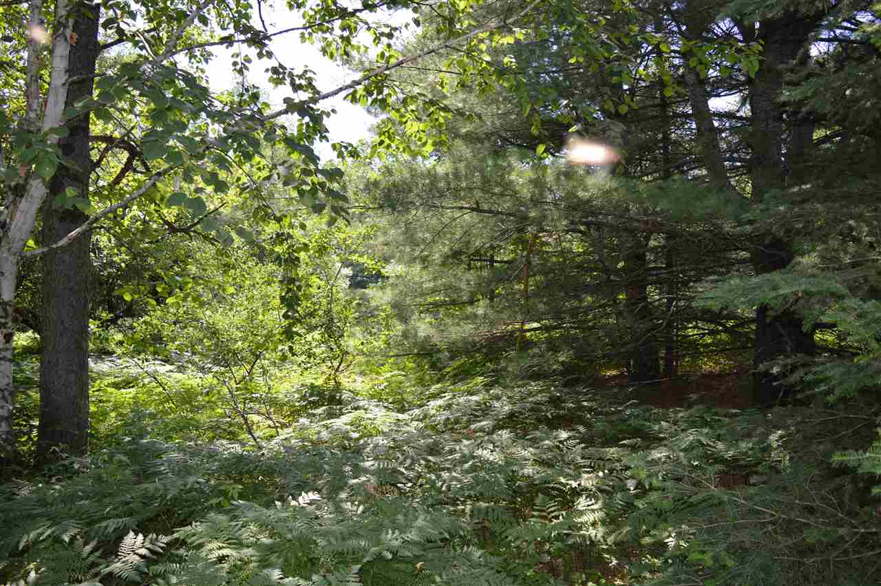 4346 Sunset Trail Road Northeast Kalkaska, MI 49646 - Photo 11 of 17 1864204-12.JPG