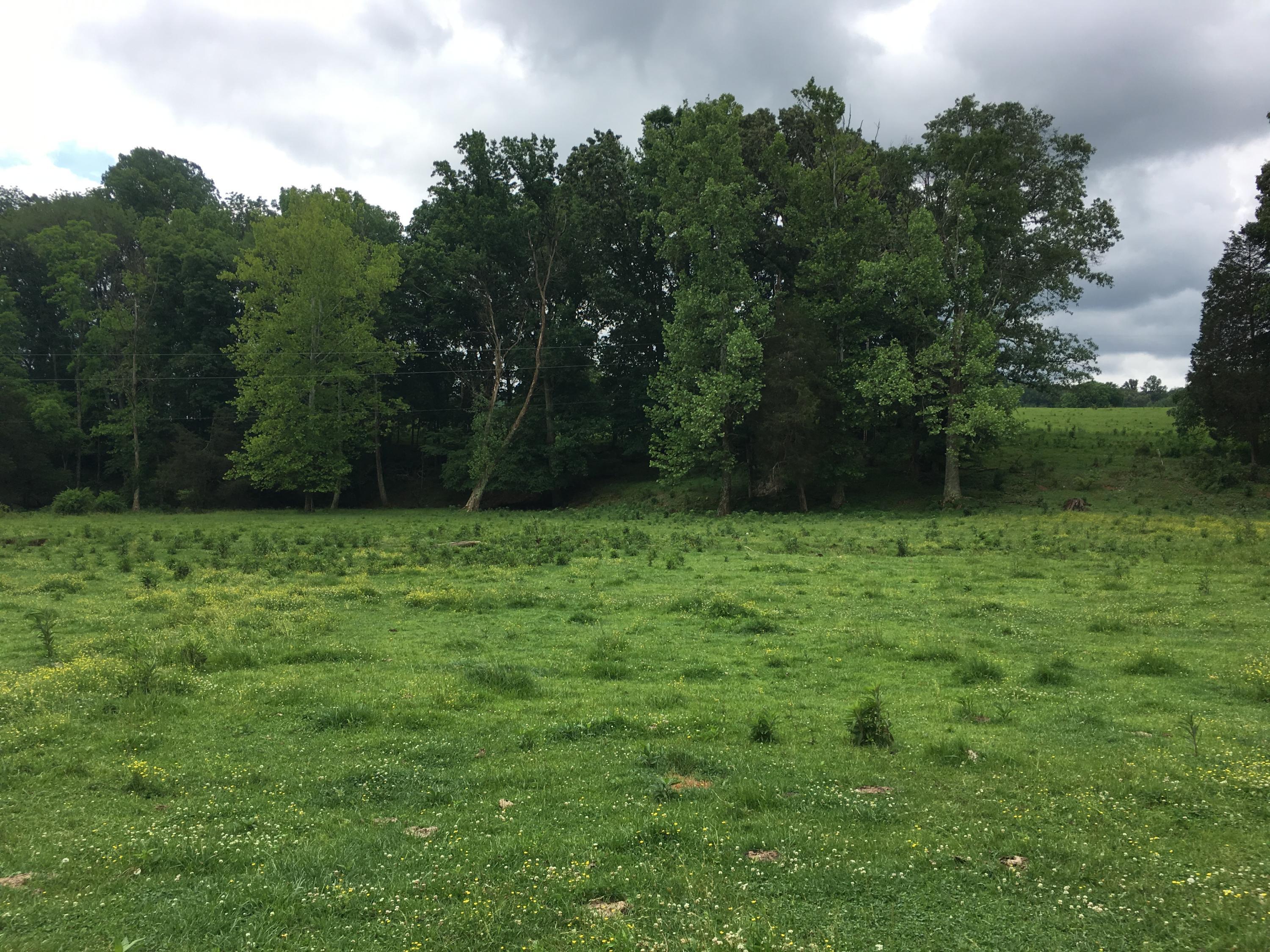 519 McKenzie Road Somerset, KY 42503 - Photo 2 of 22 IMG_2522