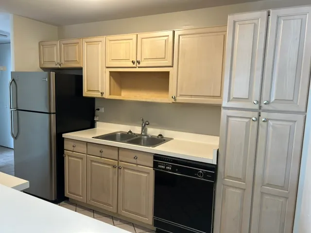 $1,700 | 425 Walnut Creek Road, Unit 1308, Lisle, IL 60532