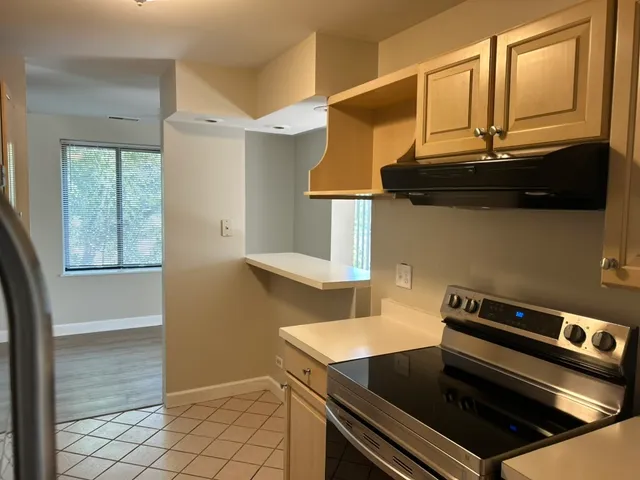 $1,700 | 425 Walnut Creek Road, Unit 1308, Lisle, IL 60532