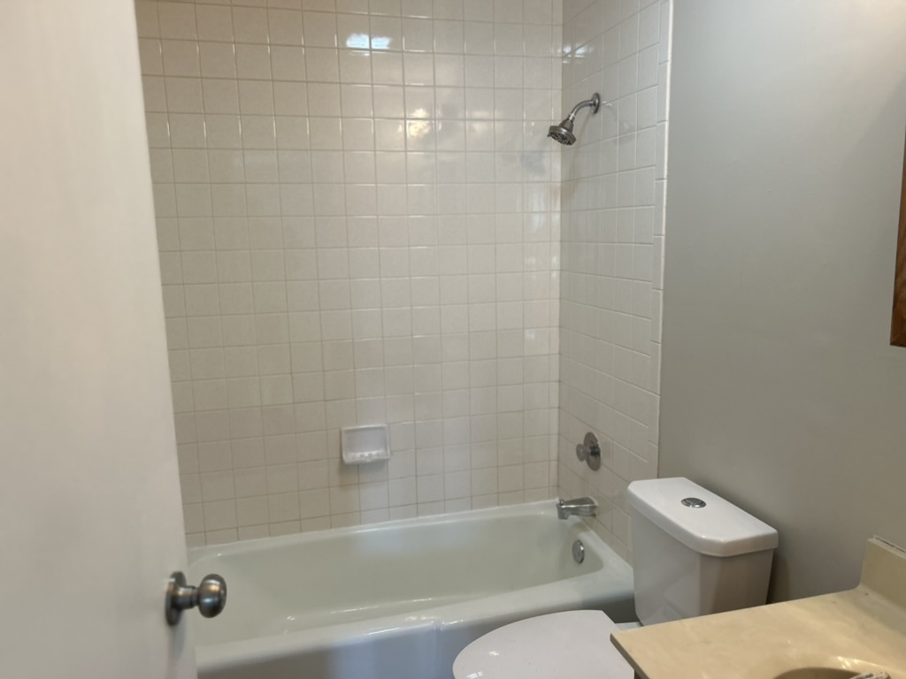 425 Walnut Creek Road, Unit 1308 Lisle, IL 60532 - Photo 9 of 13