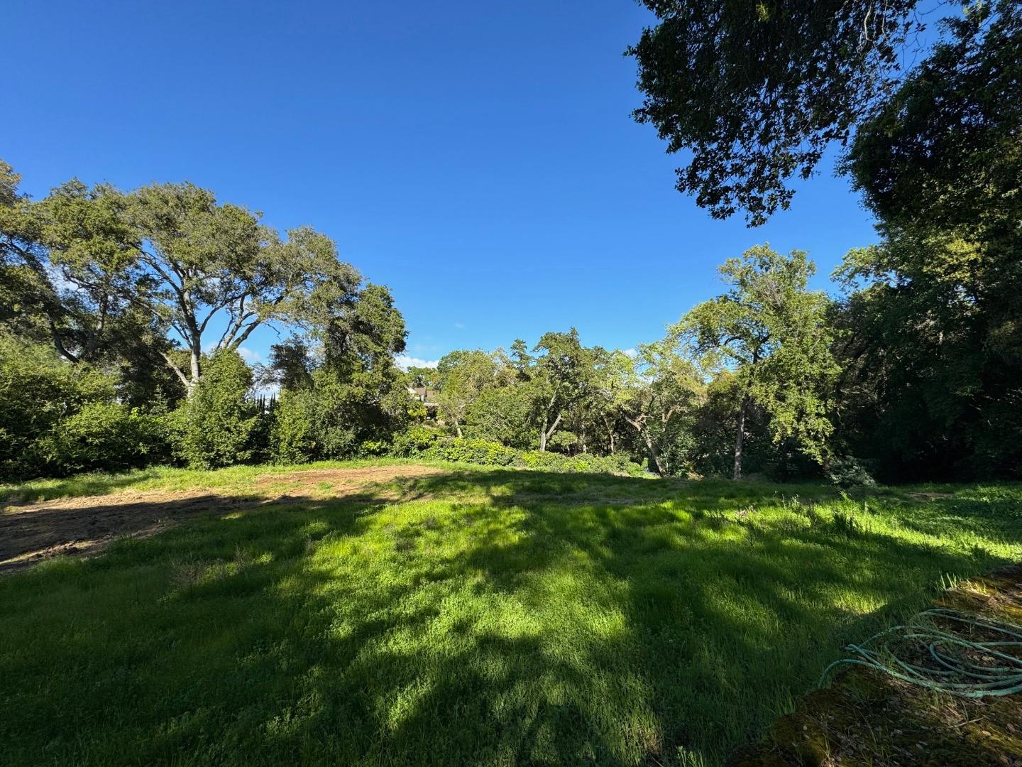 a view of a grassy area with an trees