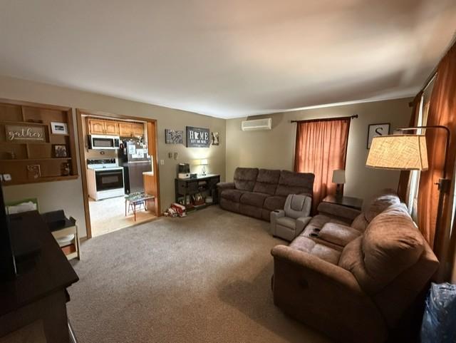 709 Mountain Lake Road Mountain Lake, MN 56159 - Photo 7 of 13