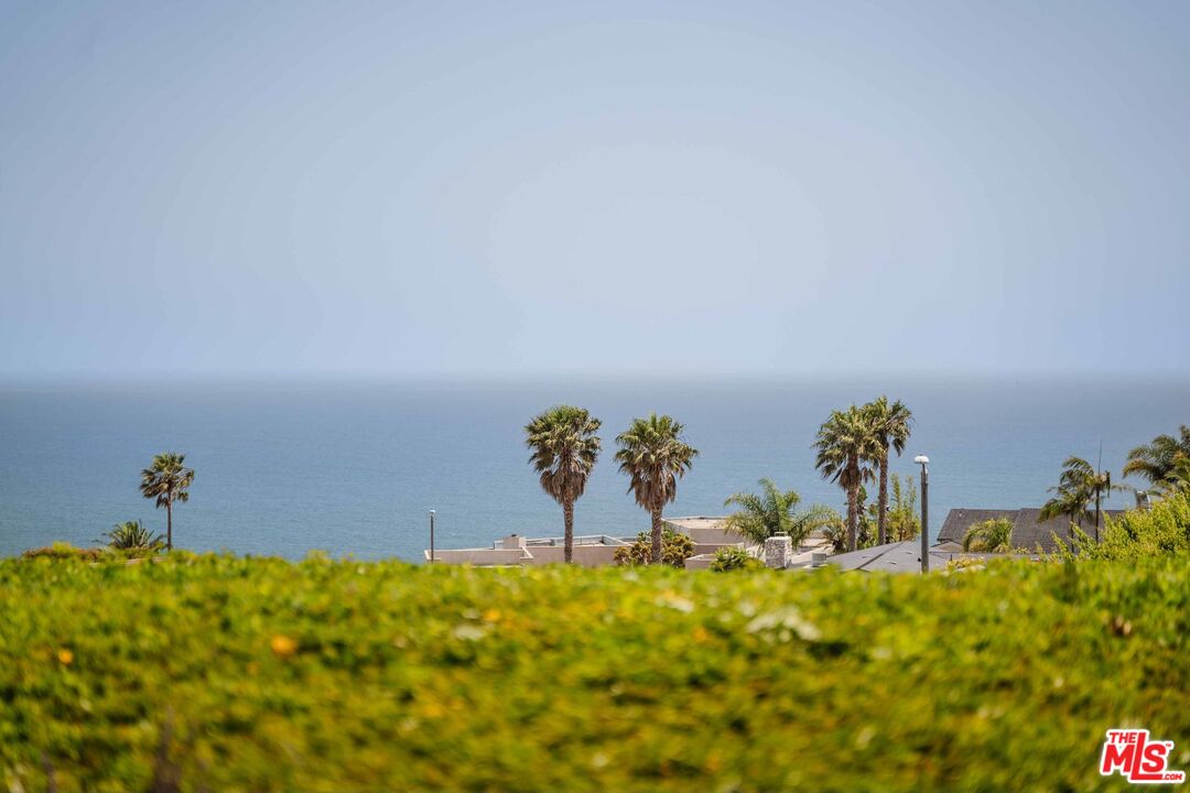 a view of a bunch of trees and houses