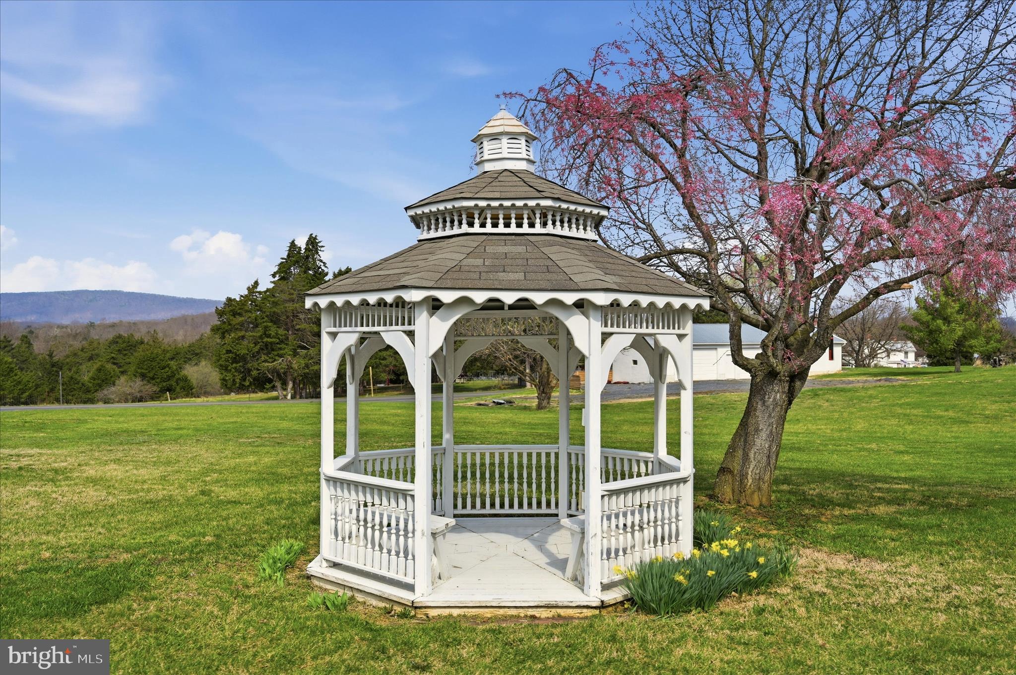 2171 Oranda Road Strasburg, VA 22657 - Photo 53 of 69 Gazebo conveys with property.