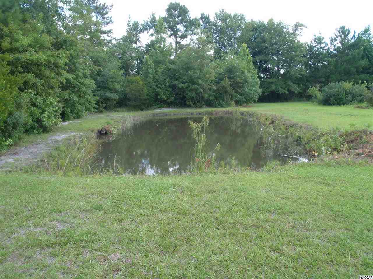 5601 Tyler Road Aynor, SC 29544 - Photo 13 of 15 Gallery Image 13