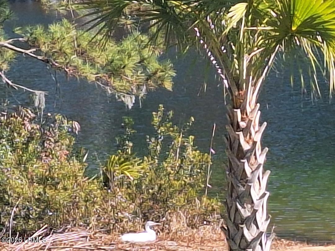 91 Front Street St. Helena Island, SC 29920 - Photo 56 of 66 Richard Sweat - 49-duck 2