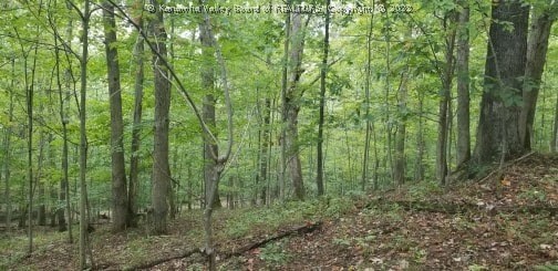 0 Route 34/1 Road Hurricane, WV 25526 - Photo 3 of 3 Gallery Image 3