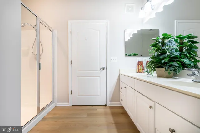 a bathroom with a sink a mirror and a potted plant