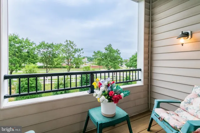 a view of a balcony with a potted plant