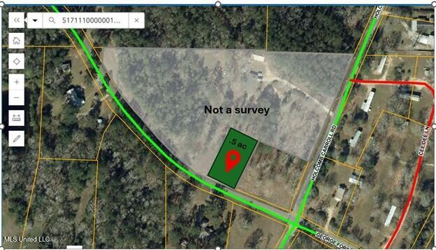 405 George Ford Road Carriere, MS 39426 - Photo 7 of 19 Parcel View