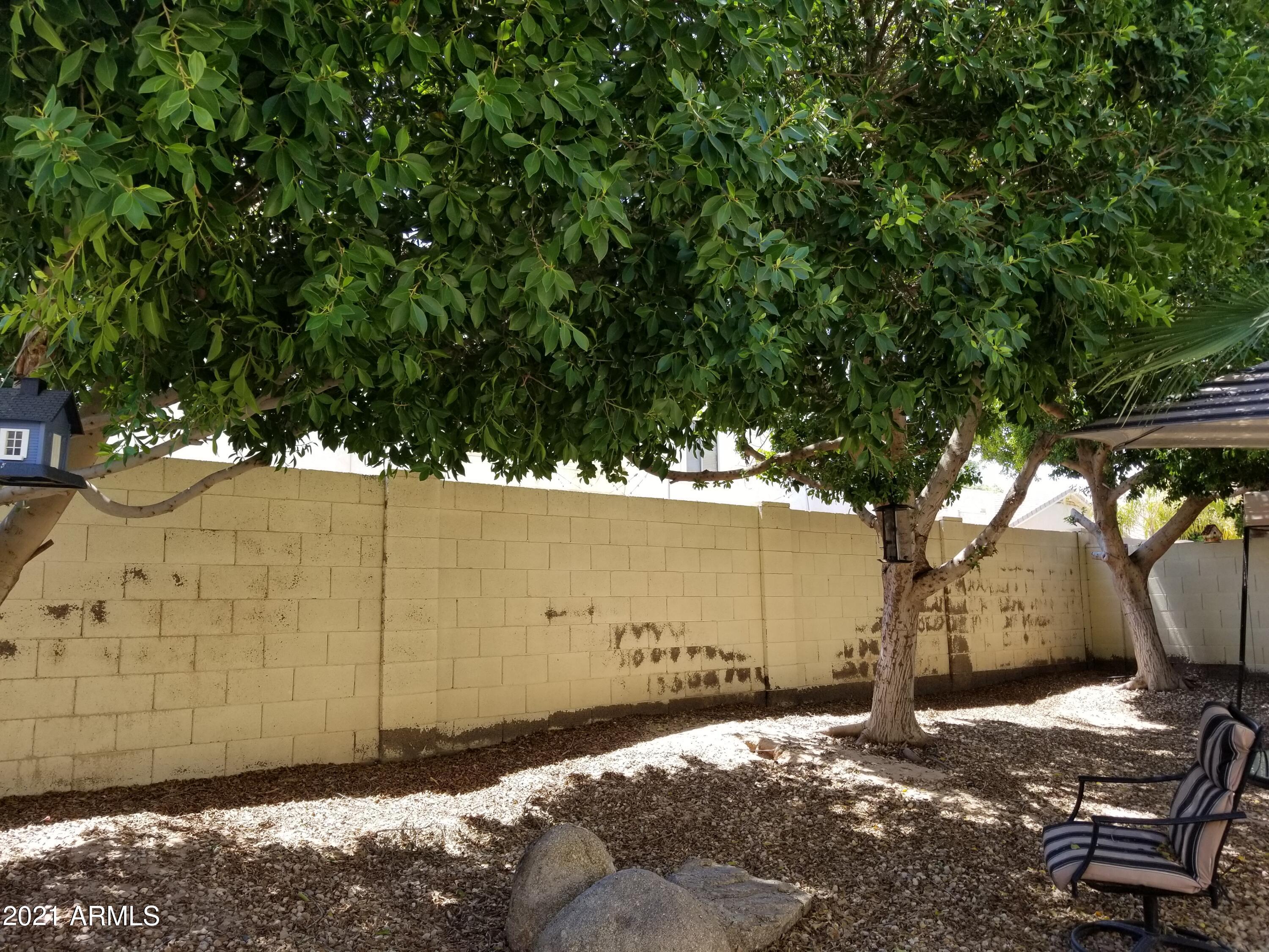 2723 East Carson Road Phoenix, AZ 85042 - Photo 21 of 24 Backyard