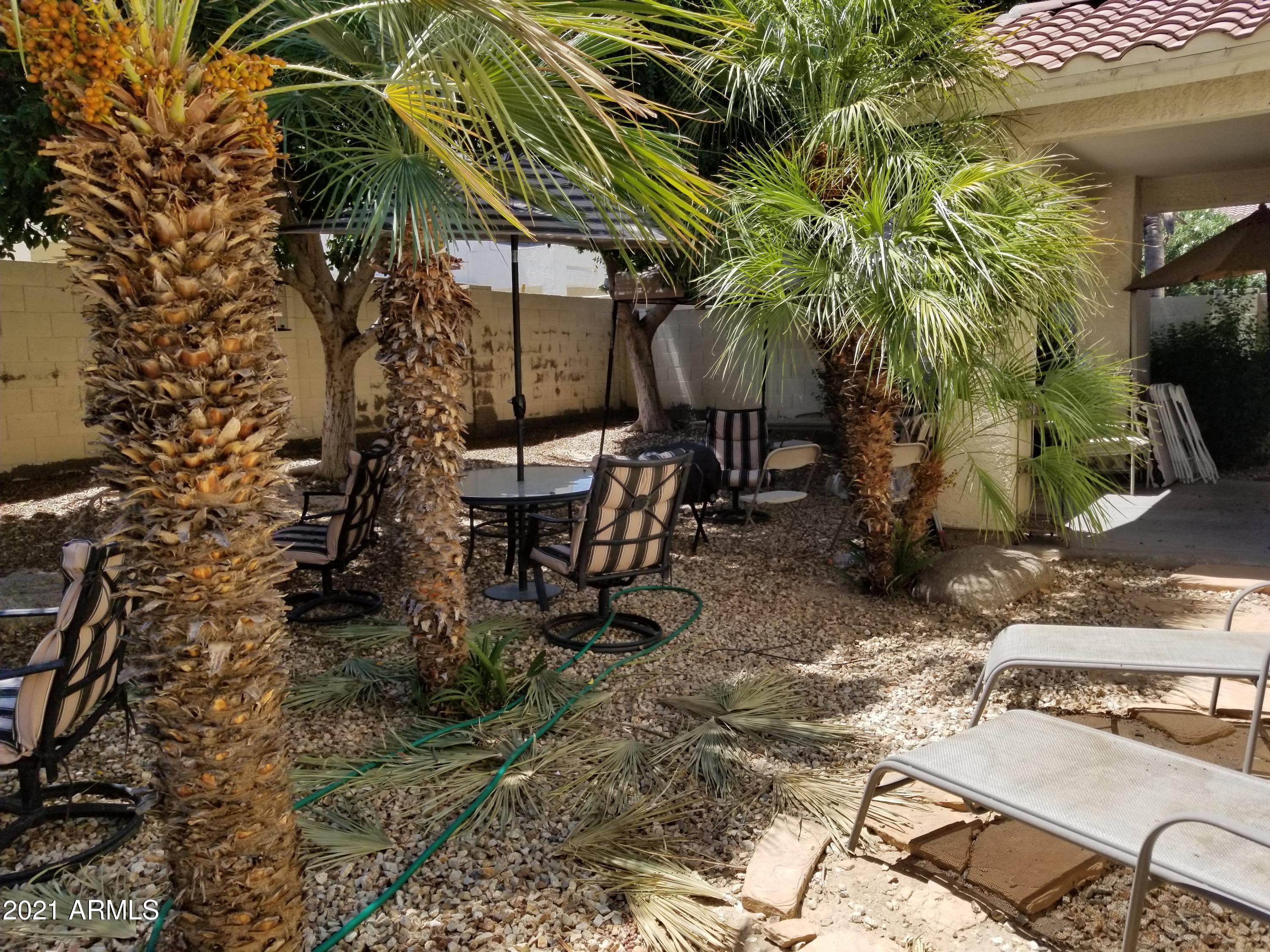 2723 East Carson Road Phoenix, AZ 85042 - Photo 22 of 24 Backyard